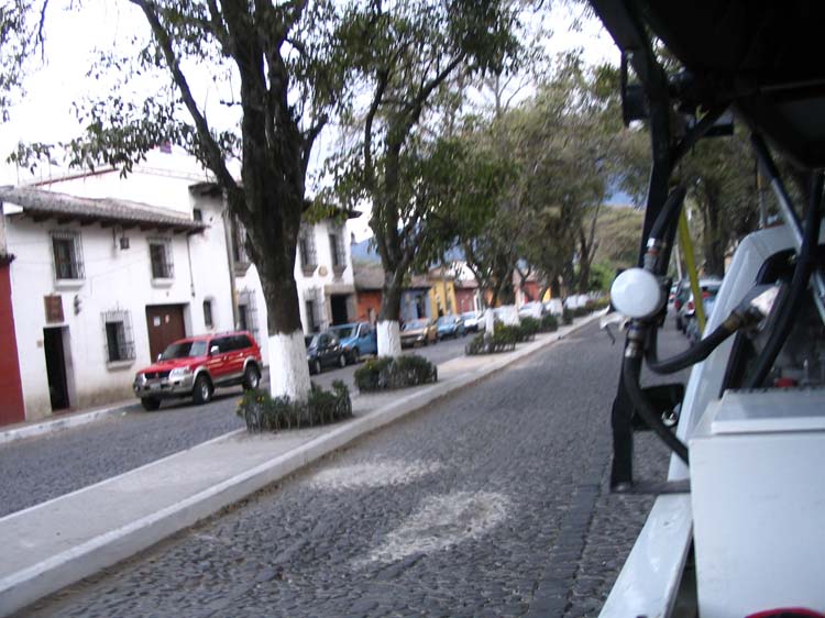 ant-04-street