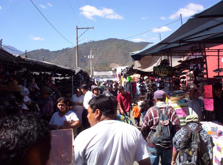 ant-14-market