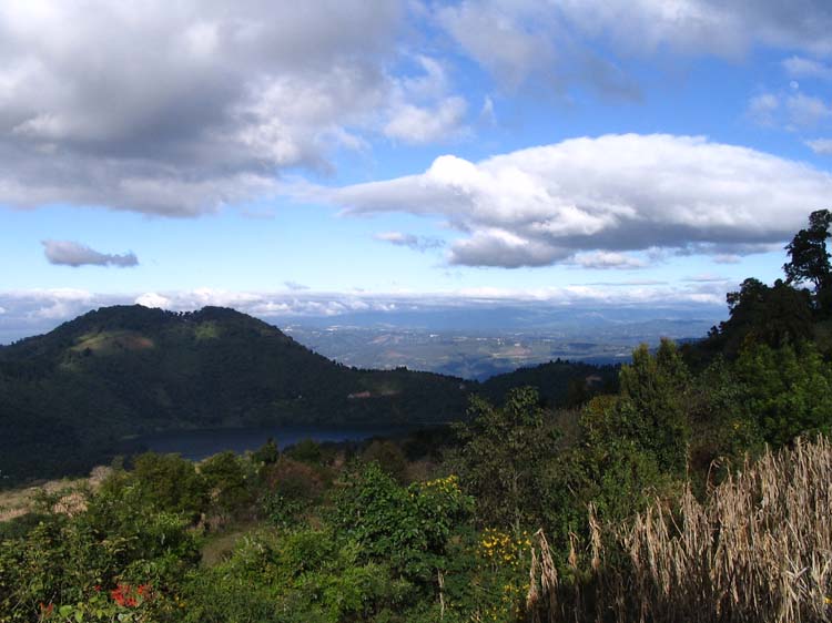 ant-vol-05-views