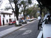 ant-04-street