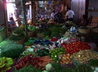 ant-15-mkt-veggie