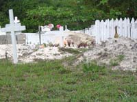 caulker-15-another-graveyard