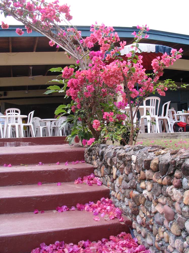 pan-tobago-23