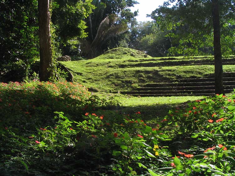 caracol-08-