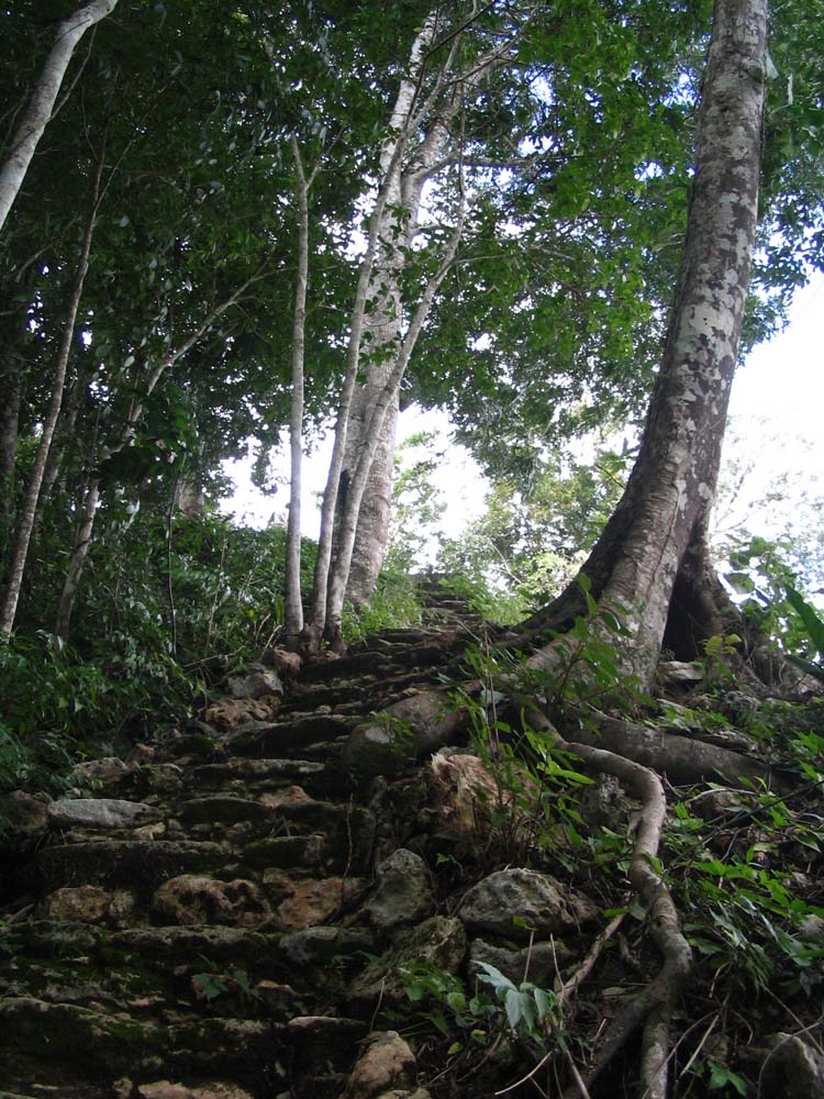 caracol-40-path-up