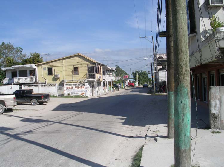 bel1-13-
