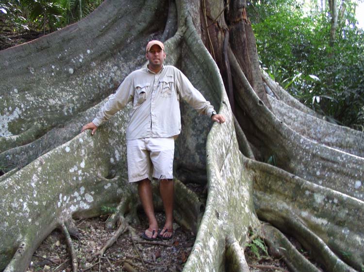 bel1-39-roots