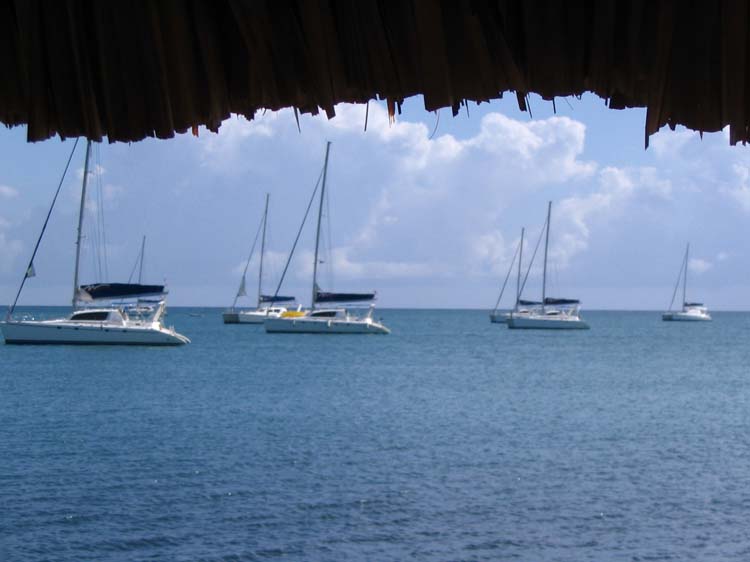 pla2-26-yoli-sails
