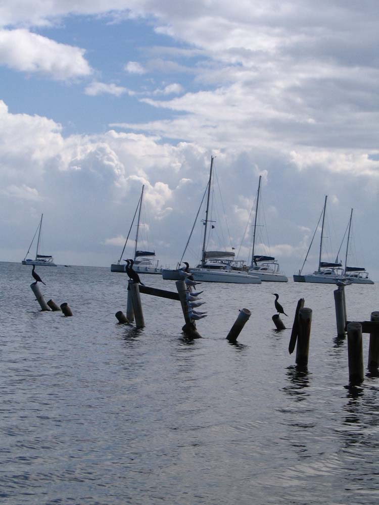 pla2-28-sail-boats