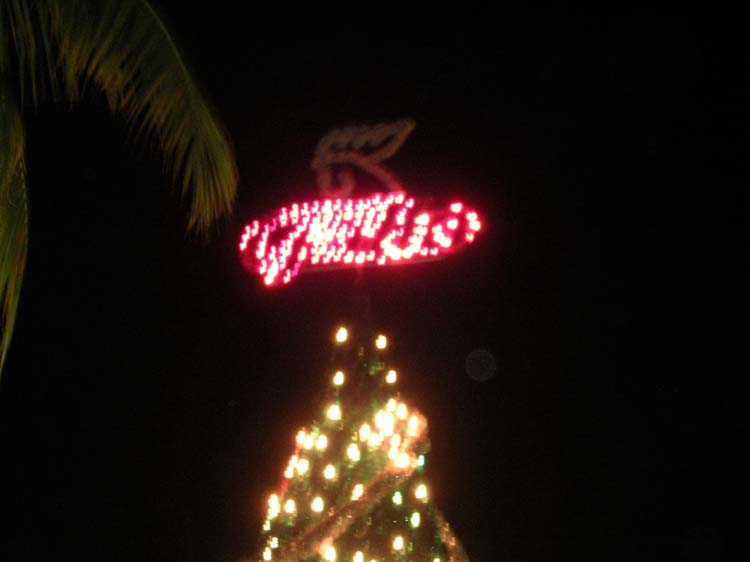 flores-xmas-gallo