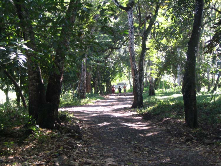 dulce-27-park-path