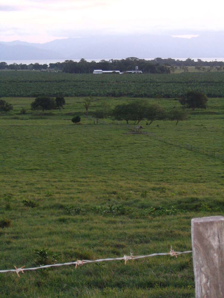 dulce-40-finca-land