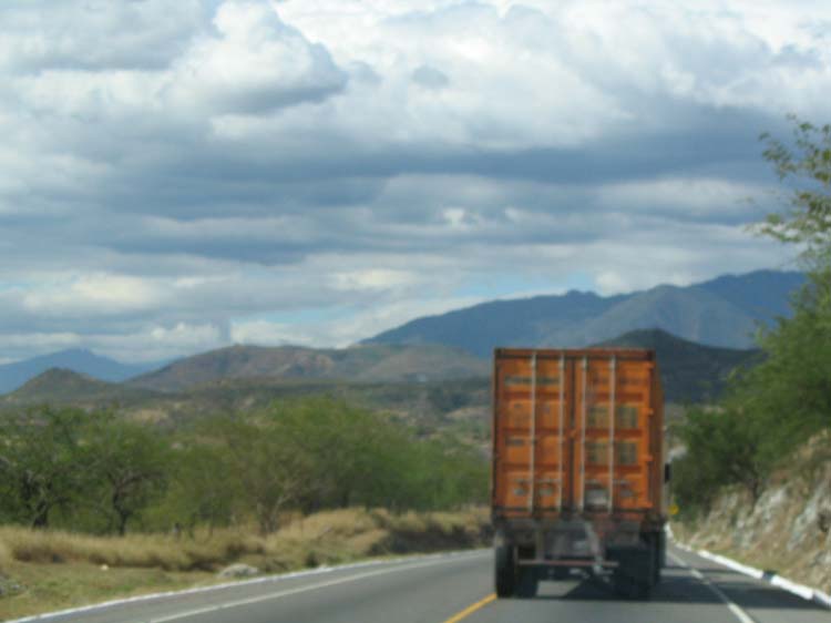 ant-02-driving
