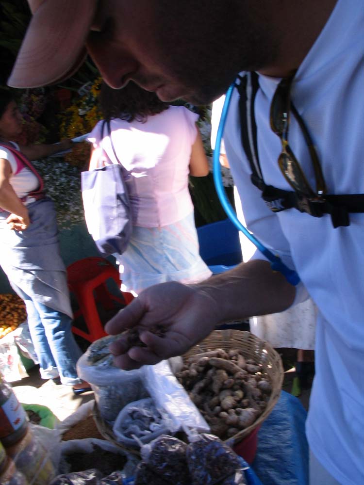 ant-36-mkt-herbs