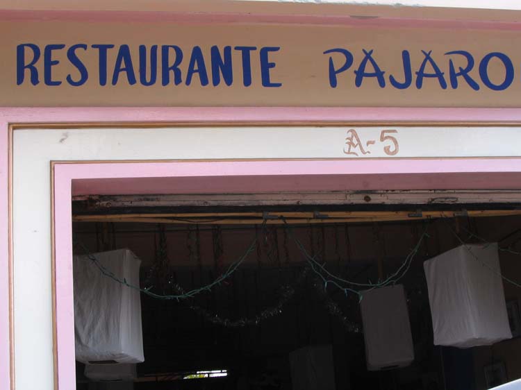 pana1-45-pana2-14