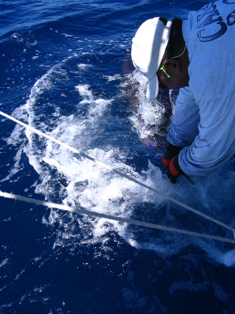 sail-27-grabbing-juan