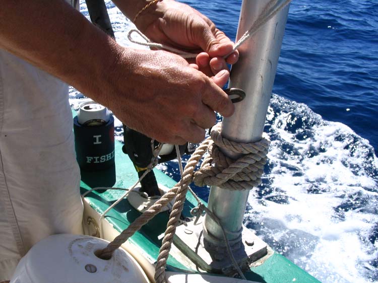 sail-32-i-love-fishing