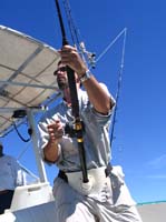 sail-24-robert-goodlooking