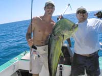 sail-39-kyle-dolphin