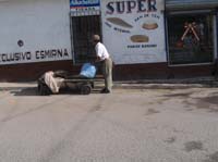 pana3-55-hand-cart