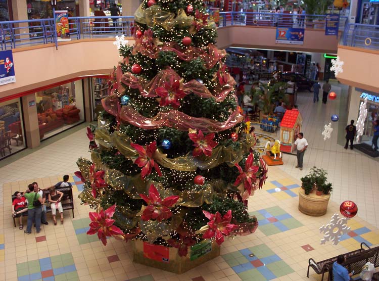 39--mall