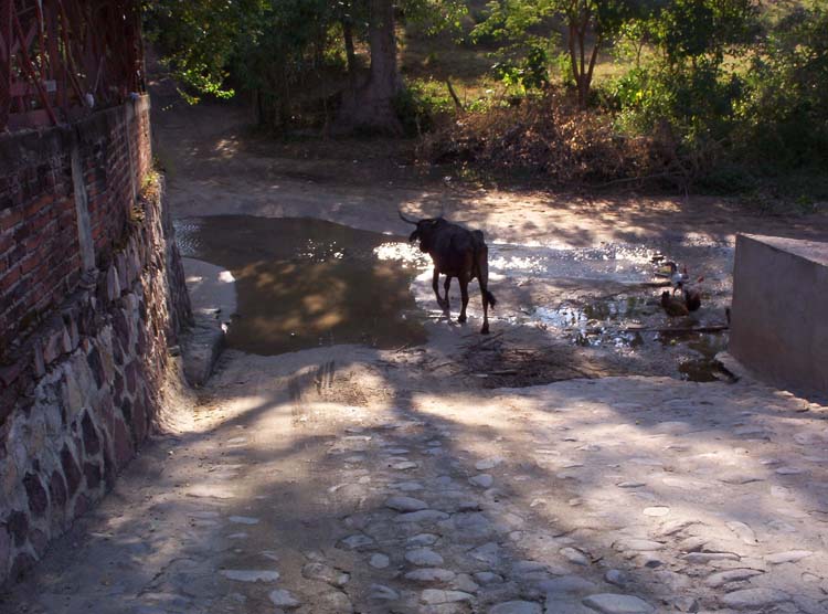 salto-19-