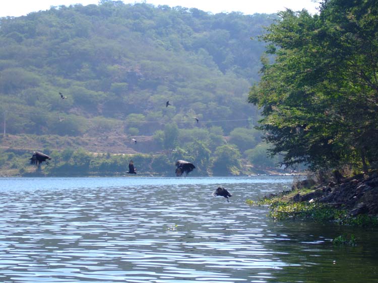 salto-27-