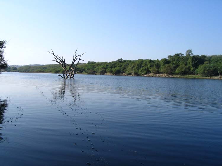 salto-90-