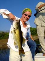 salto-35-huge-bass