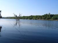 salto-90-