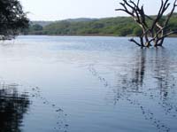salto-91-