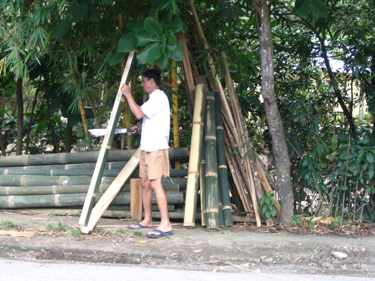 quepos-10a-bamboo-cutter