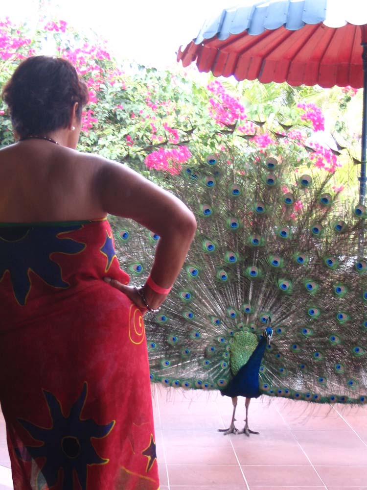 pan-tobago-26